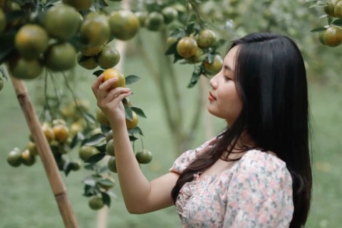 Harvest Your Orange, Refresh Your Soul